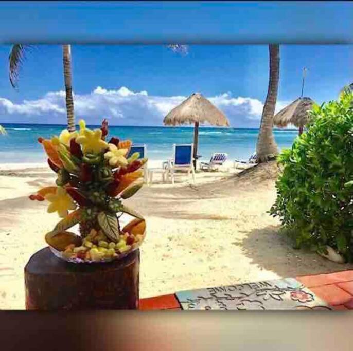 Beachfront Akumal Half Moon Bay Zewnętrze zdjęcie